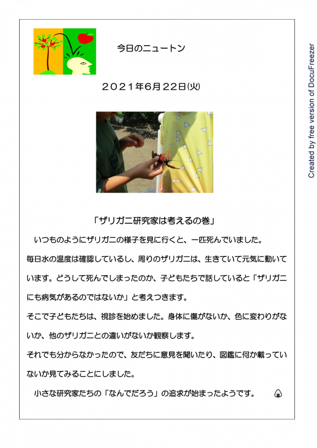 ザリガニ研究家は考えるの巻