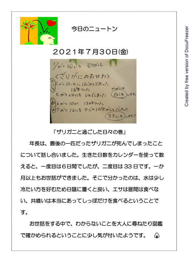 ザリガニと過ごした日々の巻 