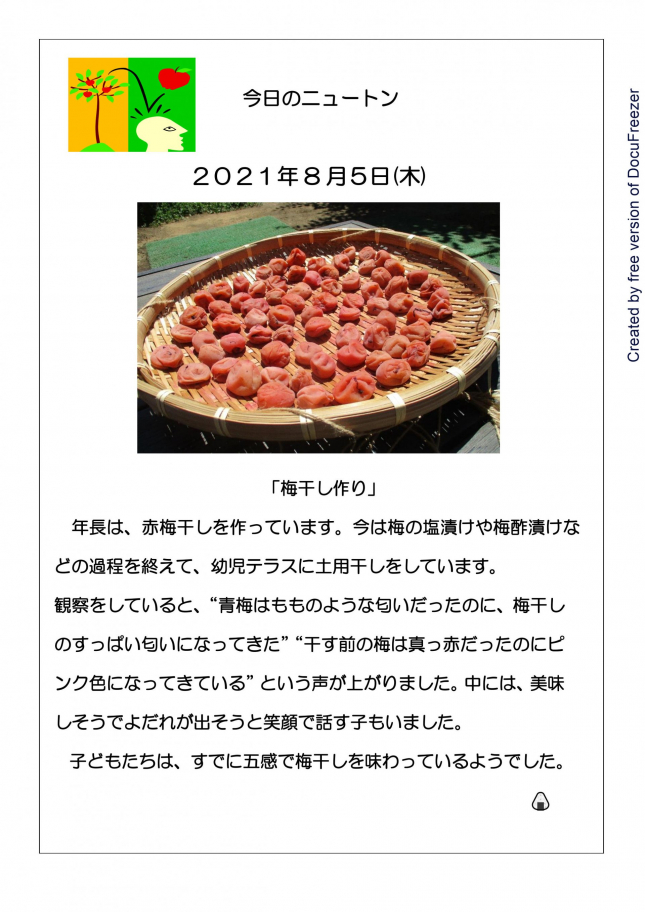 梅干し作り