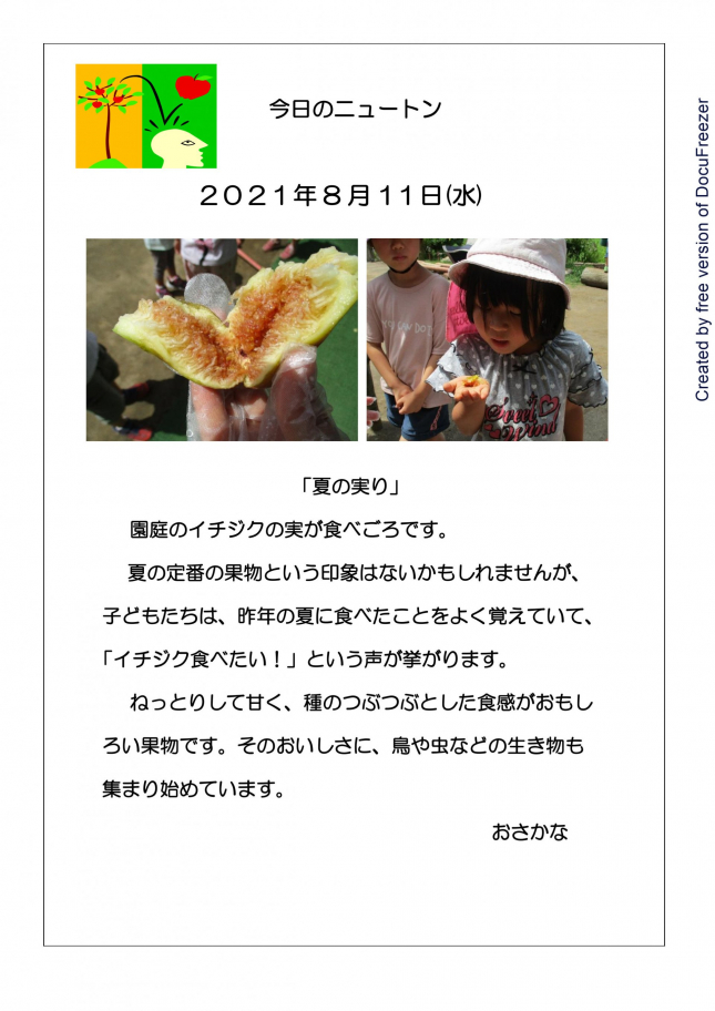 　夏の実り