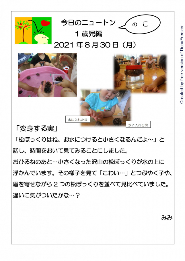1歳児「変身する実」