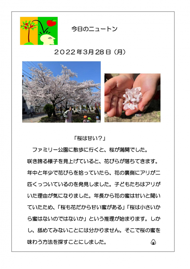 桜は甘い？