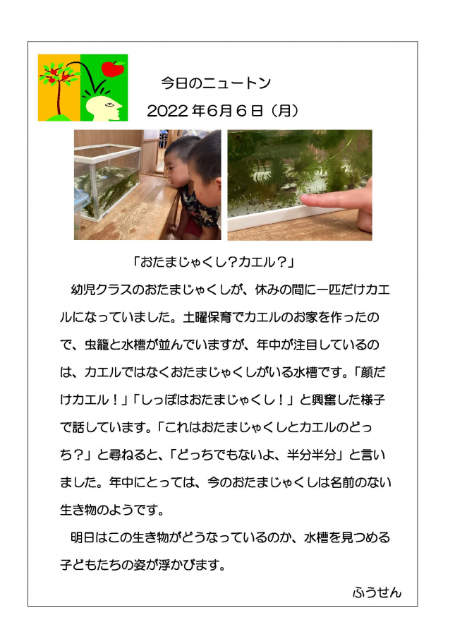 20220606　おたまじゃくし？カエル？_ページ_1